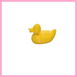 Rubber Duck